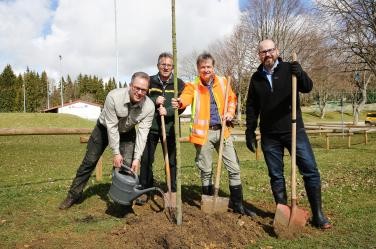 Vier Männer mit Schaufeln und Gießkanne stehen um einen frisch gepflanzten Baum