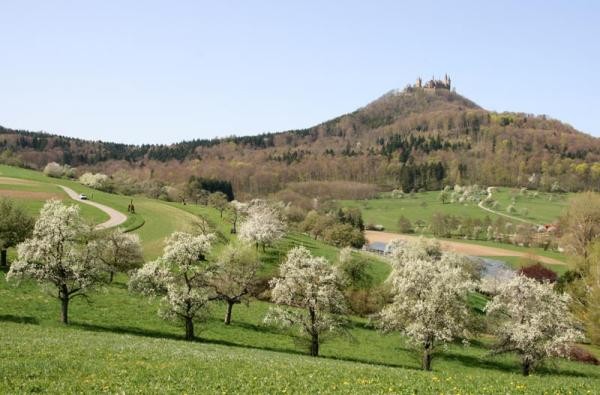 Obstbaumwiese vor der Burg Hohenzollern
