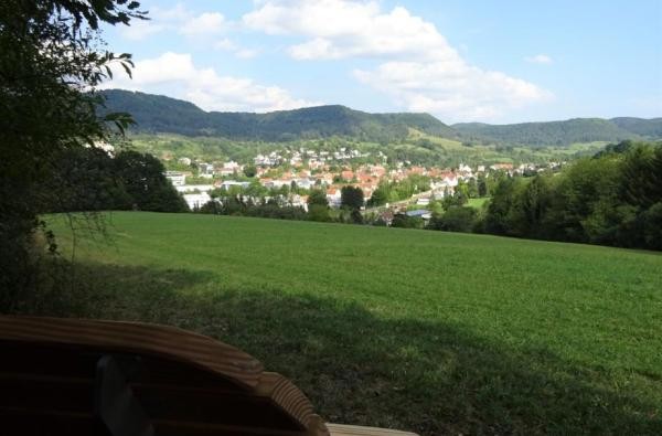 Blick auf die Gemeinde Jungingen umgeben von grüner Natur