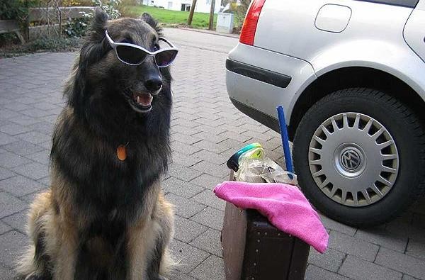 ©Marion Albus, Amt für Veterinärwesen u. Verbraucherschutz/Zollernalbkreis Chrissy