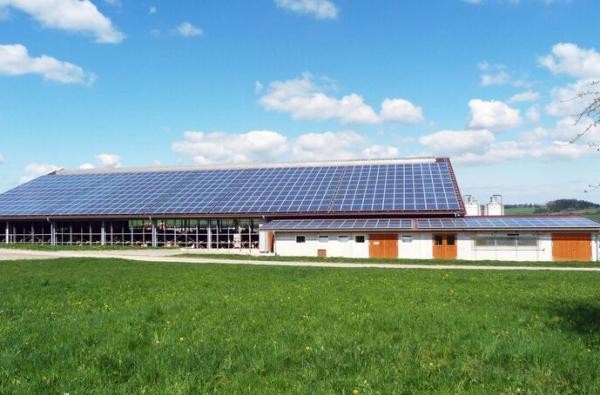 ©Bettina Pfriender/Landwirtschaftsamt Stall