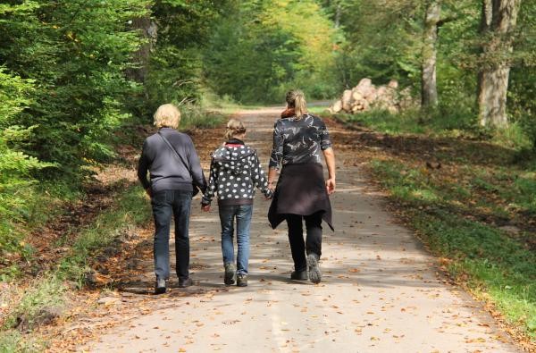 Familie auf einem Waldweg spazierend (Aufnahme von hinten)