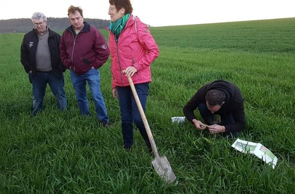 Quelle: @Landwirtschaftsamt Zollernalbkreis Felderbegehung