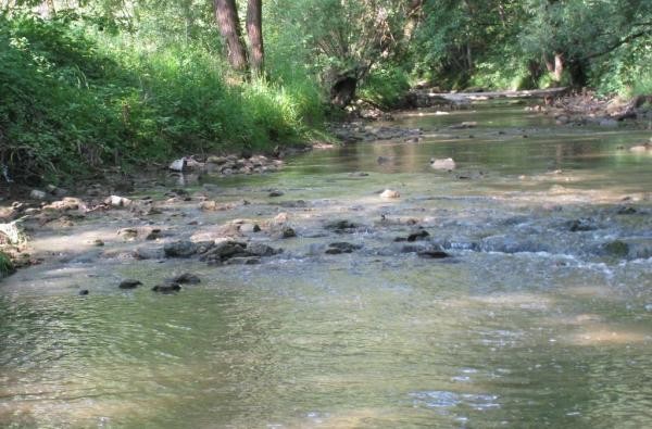 © Umwelt und Arbeitsschutz/Landratsamt Zollernalbkreis Bachlauf der Eyach
