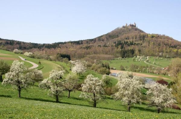 © Landwirtschaftsamt/Landratsamt Zollernalbkreis Obstbaumwiese vor der Burg Hohenzollern