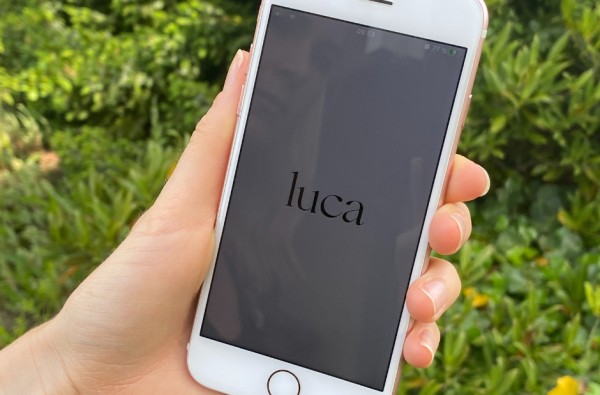Eine Hand hält ein Handy mit der Luca-App.