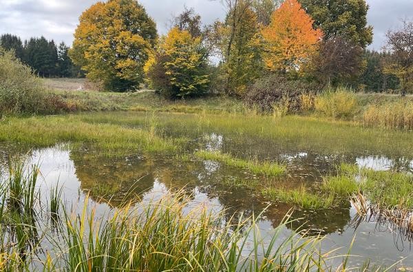 Quelle: © Landratsamt Zollernalbkreis Renaturierte Hülbe in Bitz