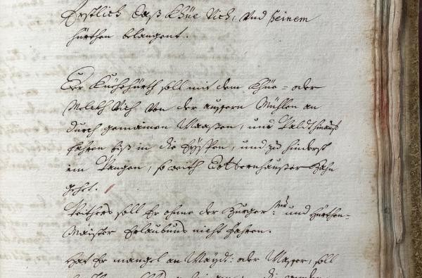 © Kreisarchiv/Landratsamt Zollernalbkreis Bild: Nr. 39 Urbar und Lagerbuch Dotternhausen von 1763