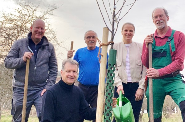 Setzen gemeinsam die Frühwetschge in die Erde (von links): Bürgermeister Oliver Schmid, Landrat Günther-Martin Pauli, Baumwart Hermann Vees, Ortschaftrsrätin Sabine Zirkel und Kreisfachberater Markus Zehnder. ©Landratsamt Zollernalbkreis Eine Frau und vier Männer um einen jungen Baum, den sie gerade gemeinsam gepflanzt haben.