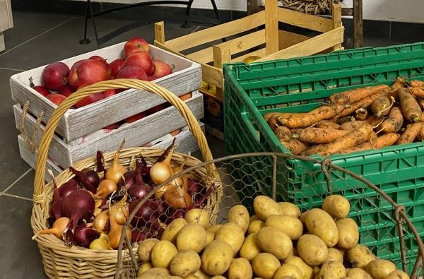 Im Rahmen der Erntedankwochen findet der Erlebnistag auf dem Riedtalhof in Erzingen statt. ©Landratsamt Zollernalbkreis Kartoffeln, Zwiebeln, Karotten und Äpfel in Kisten