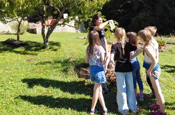 So geht's: Unter Anleitung haben die Kinder Nistkästen hergestellt - und erfahren, wie dsinnvoll diese sind. ©Landratsamt Zollernalbkreis Mehrere Kinder stehen unter einem Baum, eine Frau zeigt ihnen einen Nistkasten