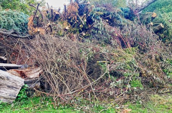 Jede Menge Grüngut wird bei den Gehölzpflegearbeiten an der B27 anfallen. ©Landratsamt Zollernalbkreis Grüngut - abgeschnittene Sträucher, Hecken und Äste