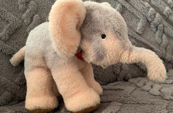 © Landwirtschaftsamt/Landratsamt Zollernalbkreis Elefant als Kuscheltier