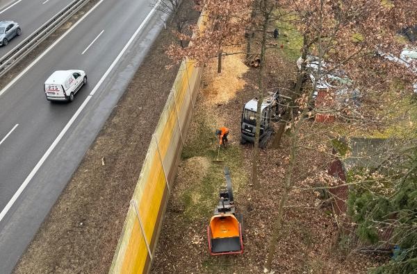 Hinter der Lärmschutzwand an der Bundesstraße 27 nahe Engstlatt wurden im Zuge von Durchforstungsmaßnahmen zum Wohl von Kleintieren und Vögeln Hackschnitzel auf der Fläche belassen und Totholzhaufen angelegt. ©Landratsamt Zollernalbkreis Neben einer Straße wird im Grünzug gearbeitet.