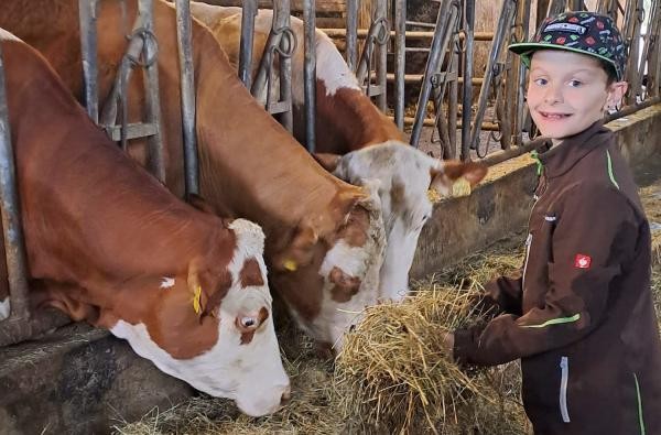 Kinder und Jugendliche können auf Bauernhöfen einiges lernen. Betriebe können sich als "Lernort" zertifizieren lassen. ©Eichenhof Grosselfingen Ein Junge gibt Kühen in einem Stall Heu.