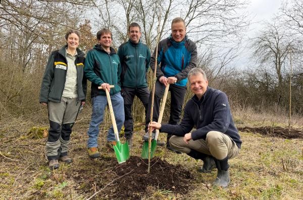 Gemeinsam mit Julia Kneer, Elias Musiol und Stephan Kneer vom Forstamt haben Bürgermeister Horst Lehmann und Landrat Günther-Martin Pauli eine Zitterpappel gepflanzt © LRA Zollernalbkreis Eine Försterin, zwei Förster, Bürgermeister und Landrat haben einen Baum gepflanzt