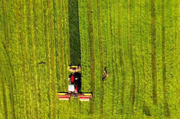 Beim Praxisabend am 13. April dreht sich alles ums Grünland ® Landratsamt Zollernalbkreis Grünland und Traktor von oben