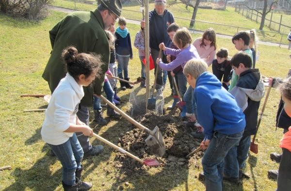 Kinder pflanzen unter Anleitung einen Baum. Das Landratsamt Zollernalbkreis sucht engagierte und naturverbundene Interessierte, die als Strreuobstpädagogen Wissen vermitteln und Natur erfahrbar machen. ©Landratsamt Zollernalbkreis Kinder und Erwachsene stehen auf einer Wiese und pföanzen einen Baum
