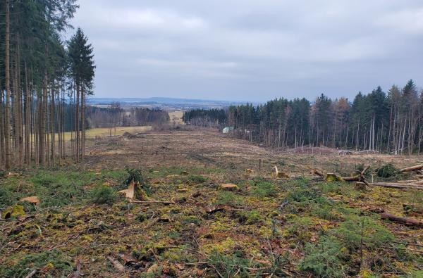 Eine kahle Fläche nahe dem Schützenhaus in Bisingen. Wie die Aufforstung gelingt, darüber informieren Fachleute des Forstamts. ©Landratsamt Zollernalbkreis Eine kahle Waldfläche ohne Bäume.