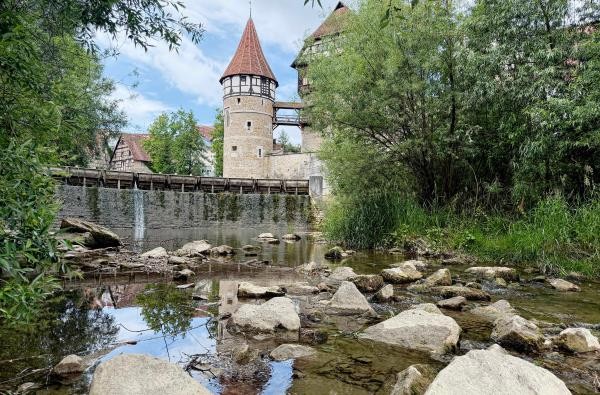 Niedrigwasser in der Eyach in Balingen: Aufgrund der anhaltenden Trockenheit hat das Landratsamt Zollernalbkreis eine Allgemeinverfügung erlassen, die die Wasserentnahmen aus oberirdischen Gewässern vorübergehend untersagt. ©Landratsamt Zollernalbkreis Ein Bach - die Eyach in Balingen - mit wenig Wasser.