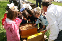 Landwirtschaftsamt/Landratsamt Zollernalbkreis Kinder beim Imker