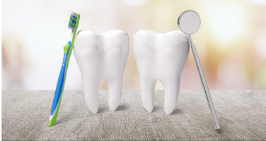 Zwei Zähne, am Linken lehnt eine Zahnbürste, am Rechten ein zahnmedizinischer Spiegel