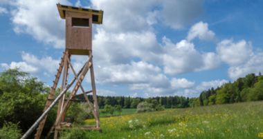Hochsitz an einer Wiese im Frühling