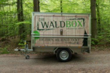 Die Waldbox, PKW-Anhänger mit waldpädagogischem Unterrichtsmaterial