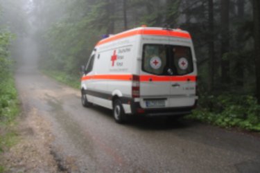 Rettungswagen im Wald